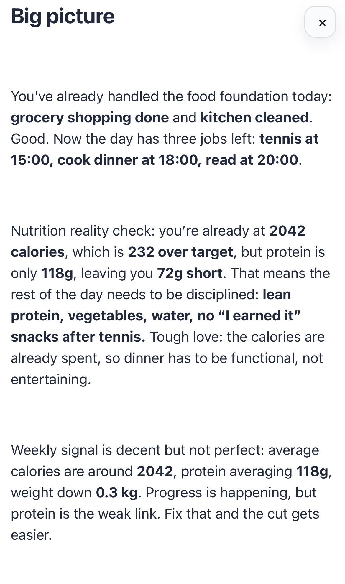 Big picture daily planning summary in Chick