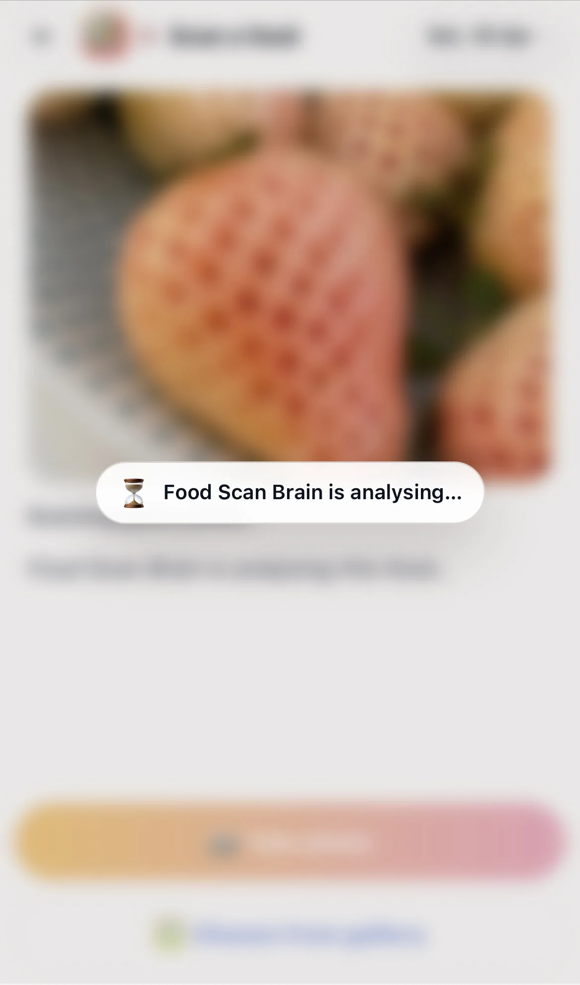 Chick Food Scan