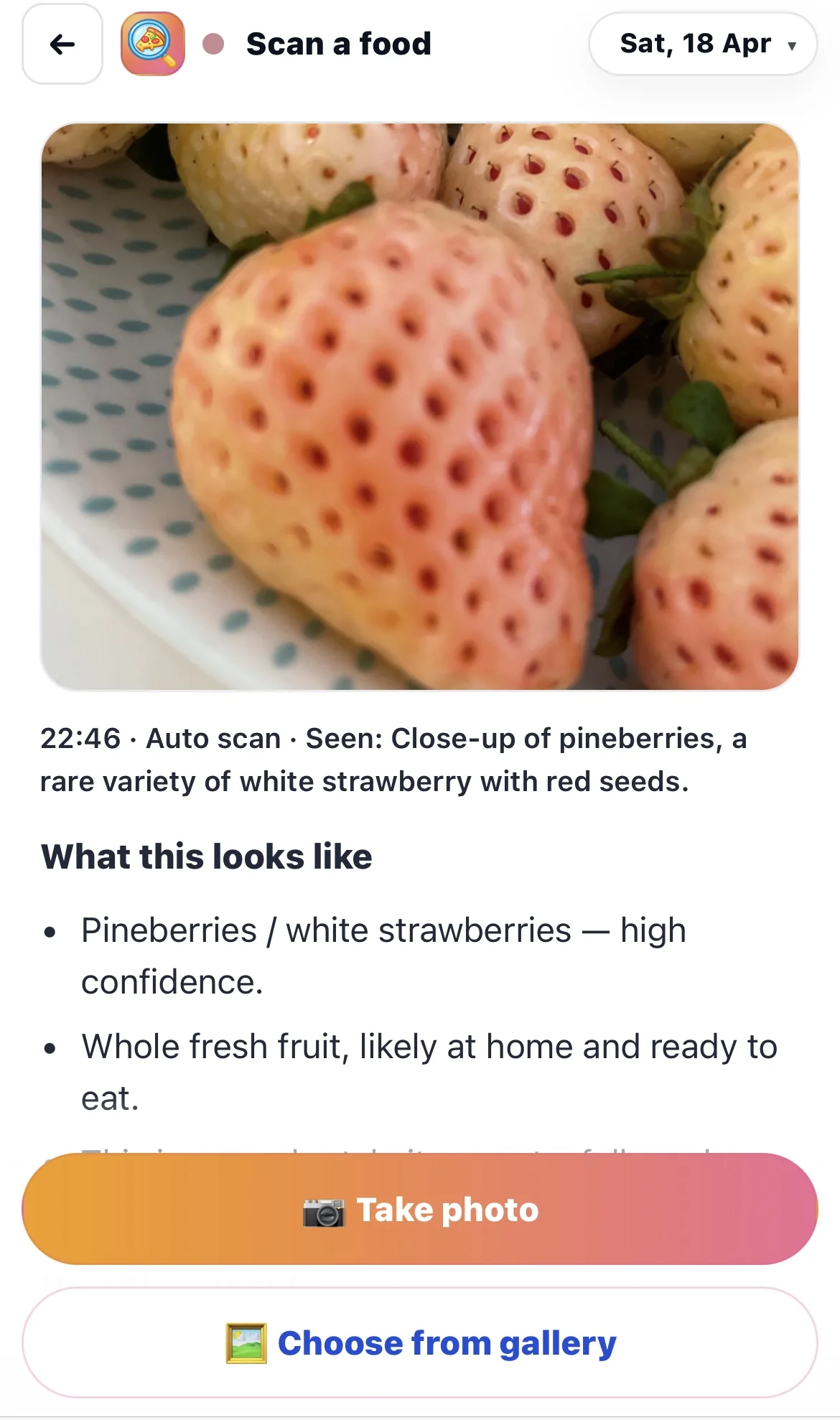 Food Scan gives you a faster way into the meal.