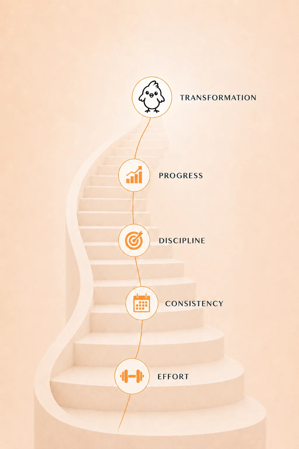 Chick transformation path showing progress, discipline, consistency and effort